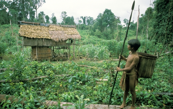 Kematian 11 Orang Rimba Bukan Kejadian Luar Biasa